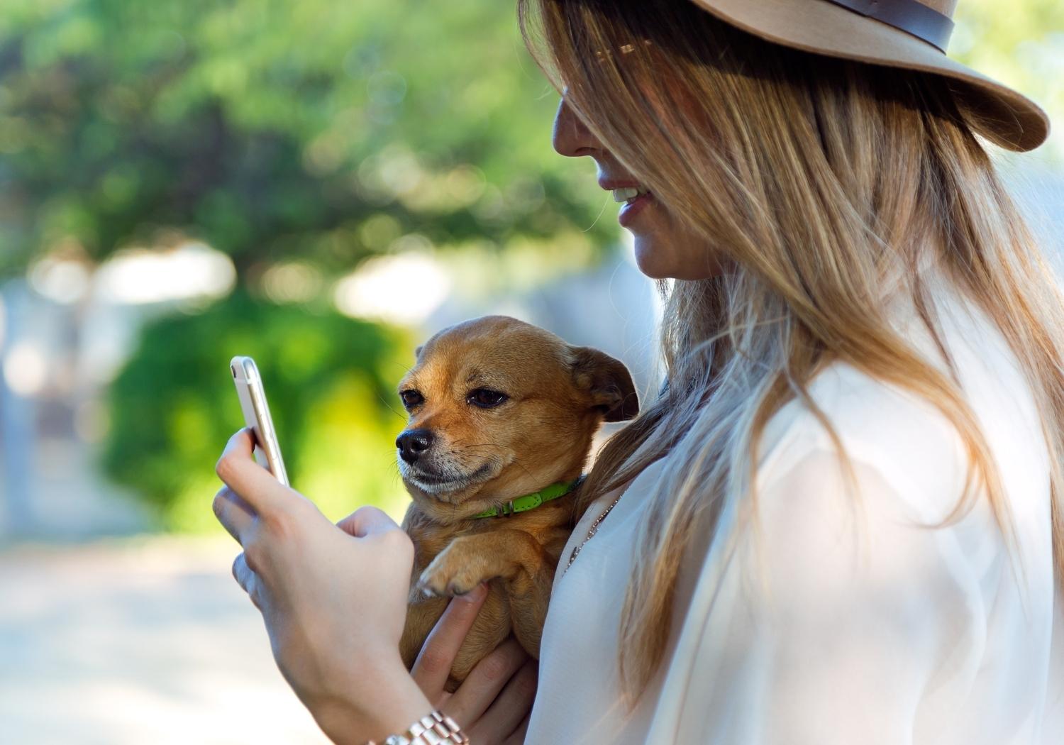 person holding dog and phone