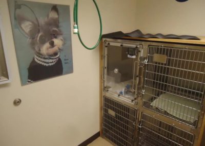 Pet isolation ward