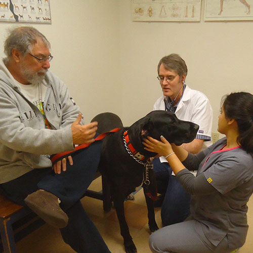 Dr. Jeff Livingstone, DVM examining pet
