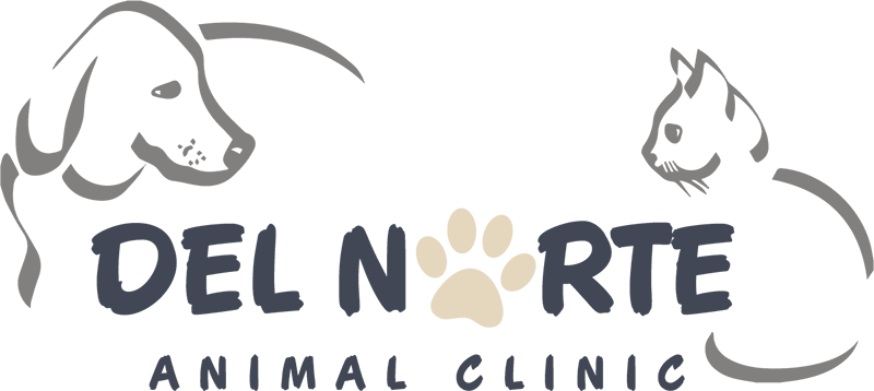 Del Norte Animal Clinic