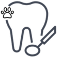 Pet dental icon